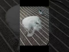 Ver por qué elegir Polvo de MSM de malla 40-80 probado mediante la metodología GC con metales pesados totales 3